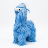 A Long hair Suri Alpaca baby blue in a white background