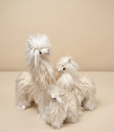 Three long hair white alpaca plush toys arranged together on a warm beige studio background.