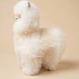 A fluffy white alpaca plush toy standing against a solid beige background.