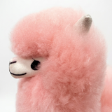 A close-up of a fluffy pink alpaca plush toy against a plain white background.
