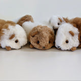 Top view of a life-size handmade alpaca fur guinea pig with realistic brown and white patterns and glass eyes.