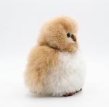 A fluffy toy owl figurine with golden-tan feathers on top and a white belly, standing on a seamless white background.