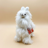 A fluffy white alpaca plush toy with a small red-and-white hangtag, photographed against a smooth warm beige studio background.