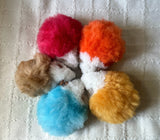 Rainbow Pride Guinea Pig Set