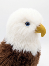 Close-up of the bald eagle's white alpaca fur head, blue glass eye and suede beak.