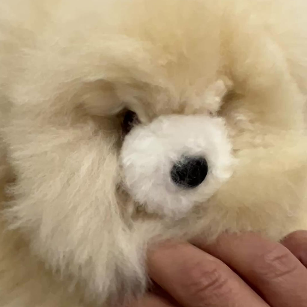 Close-up video showing the dense, bouncy texture of a 12-inch beige Huacaya alpaca bear being squeezed to demonstrate its signature softness and hand-embroidered safety eyes.