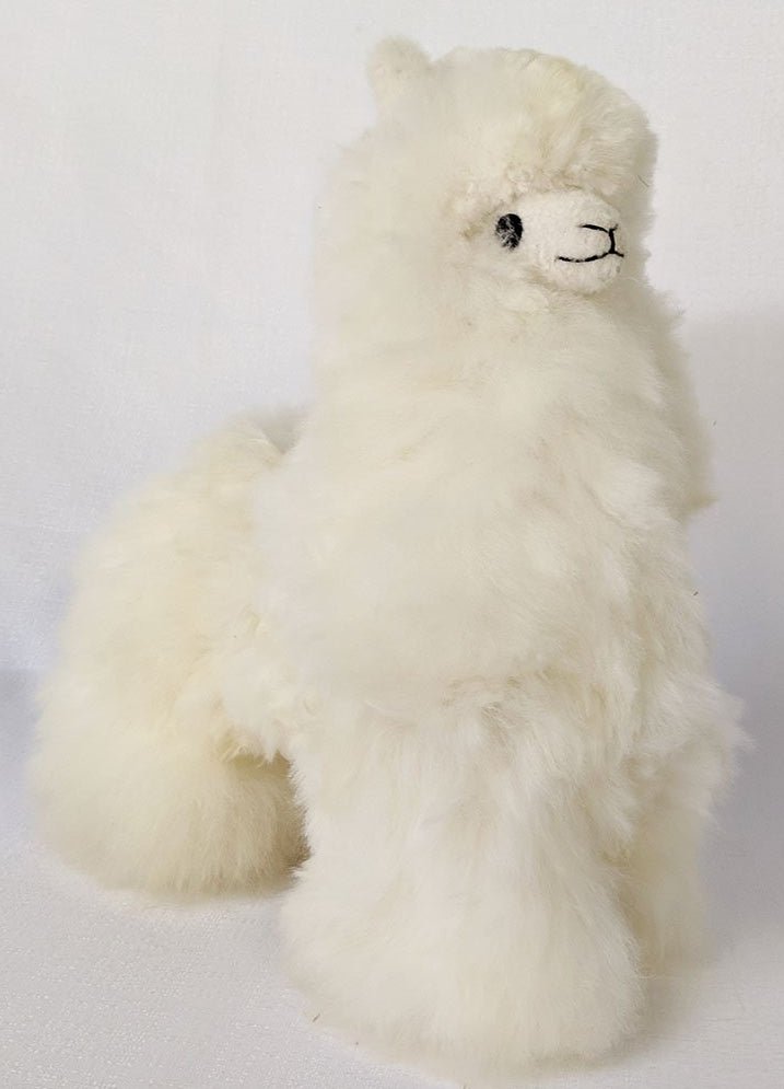 Jumbo Llama White